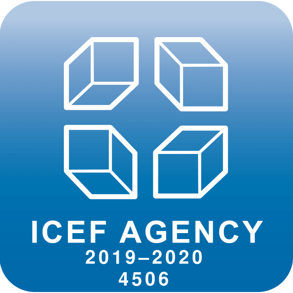 ICEF InterChance 2019-2020 | 4506