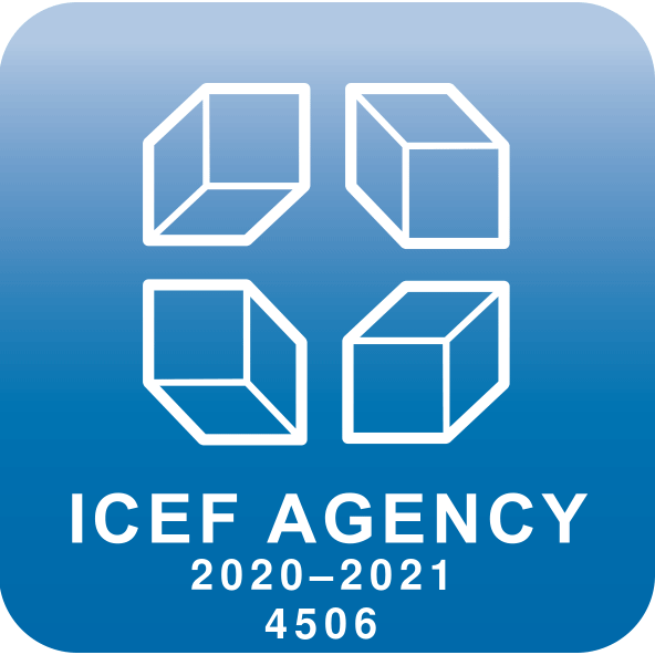 ICEF InterChance 2020-2021 | 4506